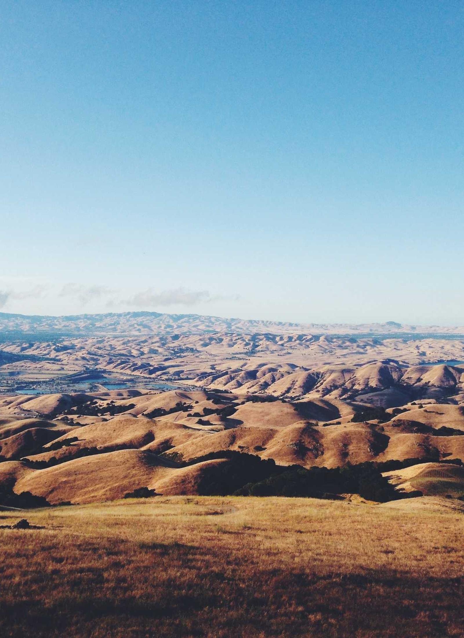 Amber Satin detay görseli 3