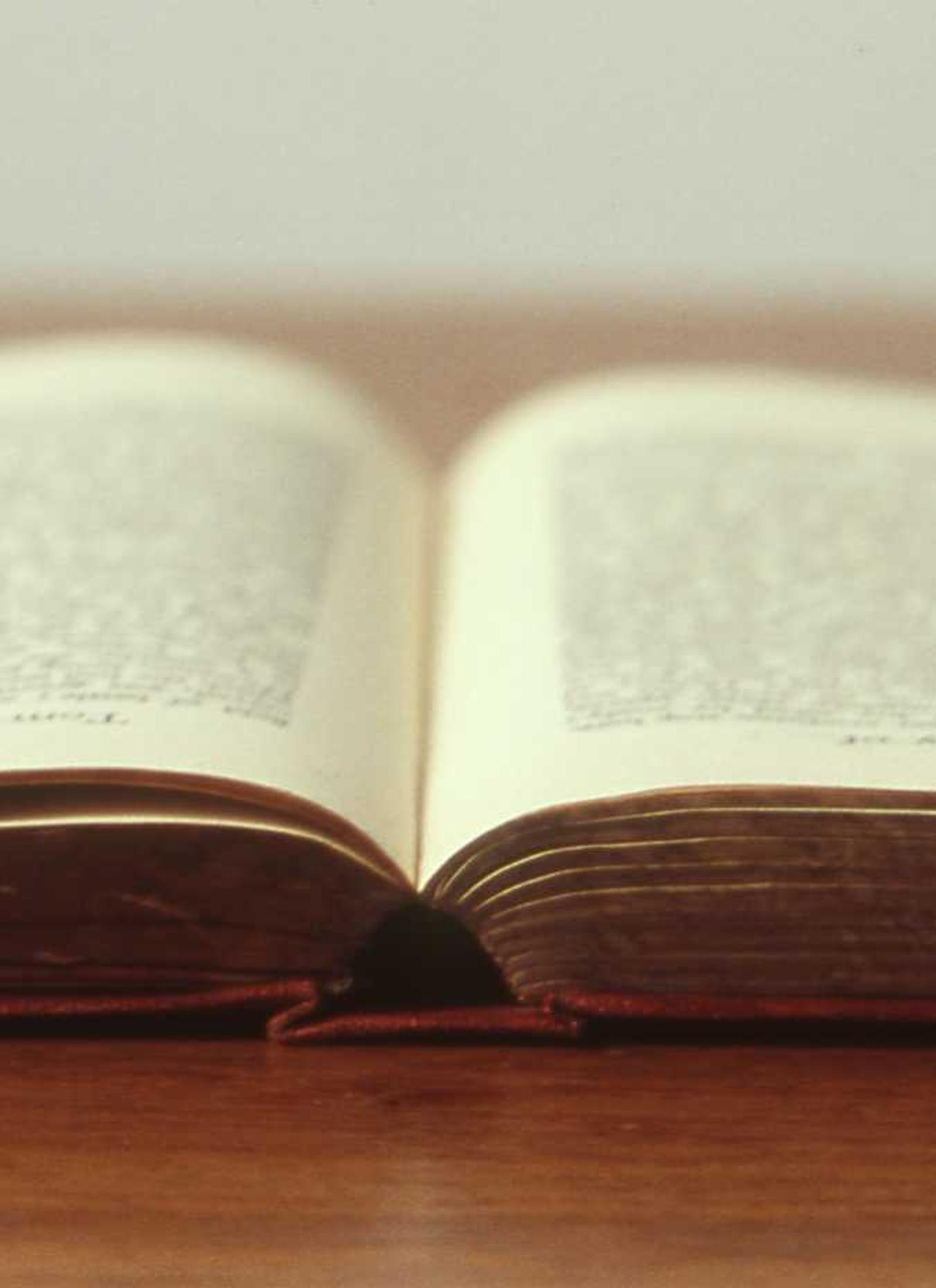 Champagne Silk detay görseli 4