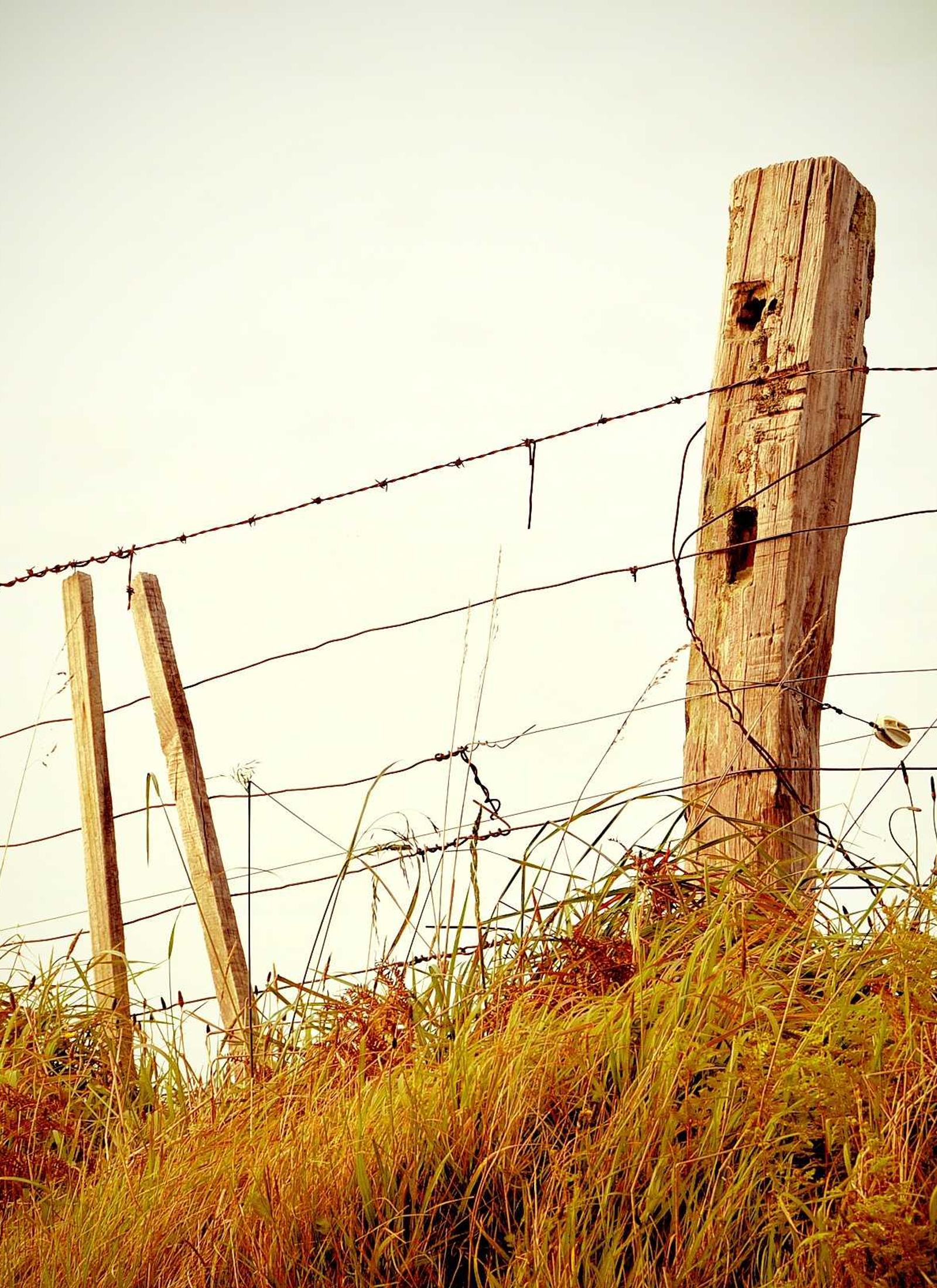 Sable Line detay görseli 3